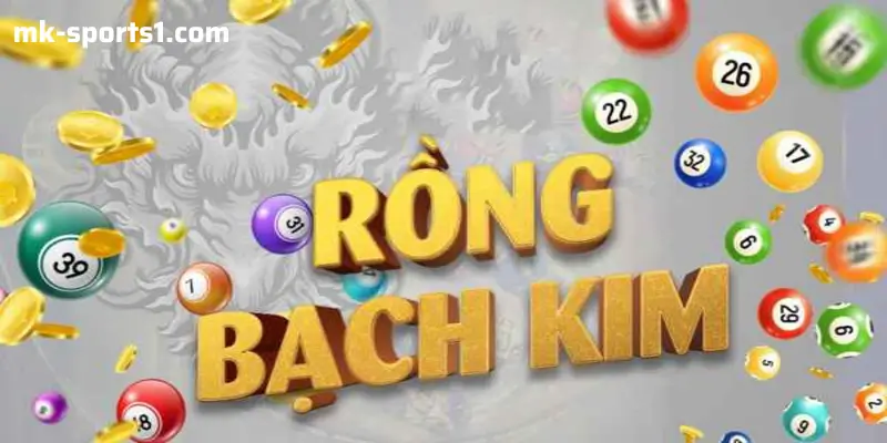 Soi Cầu Rồng Bạch Kim: Chiến Lược Hiệu Quả Cho Game Thủ Xổ Số